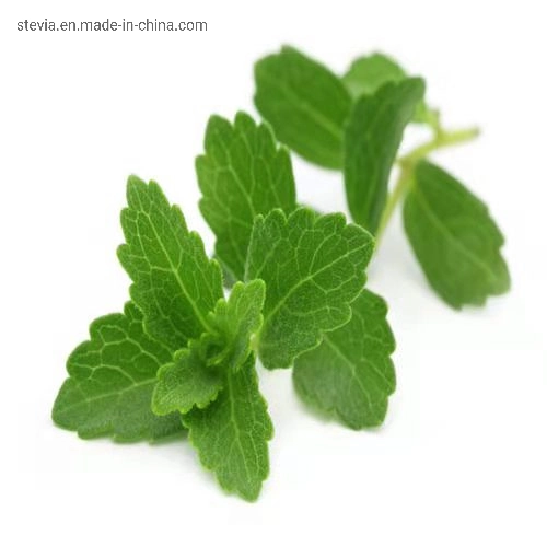 90% Zero Calorie Natural Steviosides Herbal Plant Stevia Extract