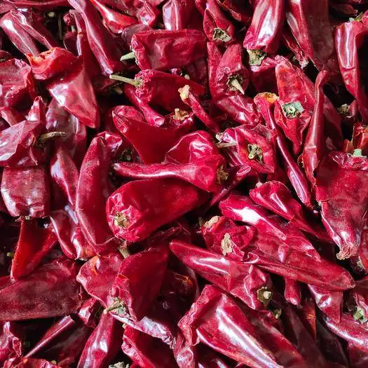 Chili rouge assaisonné de qualité alimentaire