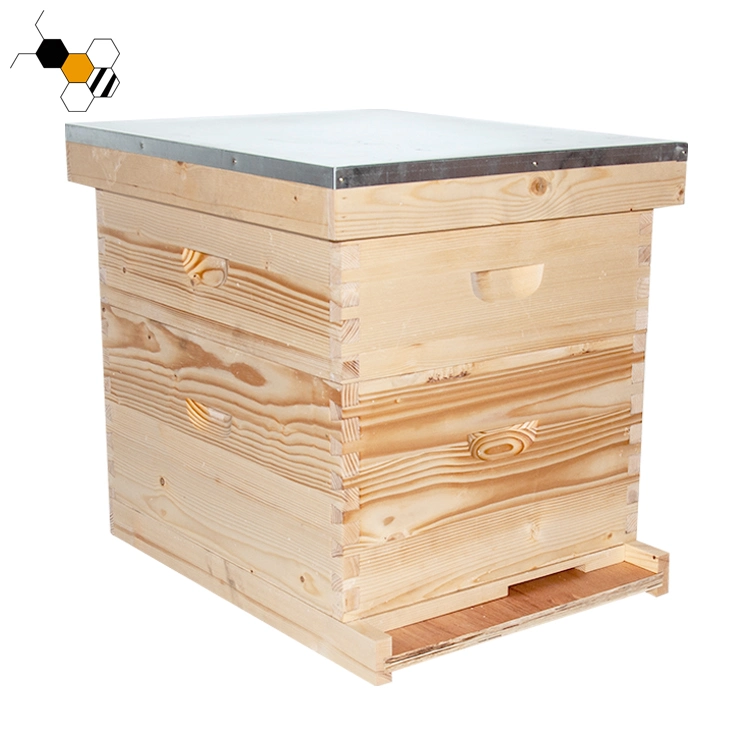 Maison du miel en bois Fabricants Bee Hive ruche Langstroth Case de l'équipement de l'apiculture