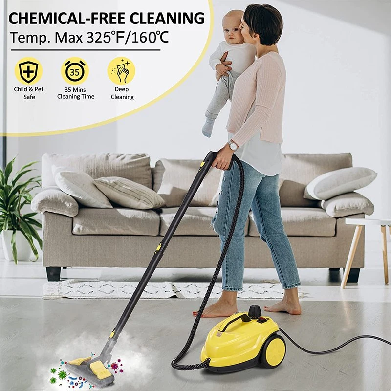 High quality/High cost performance 2000W Handheld Steam Cleaner High Temperature Steam Cleaning Machine Portable Home Furniture Car Steamer with Brush