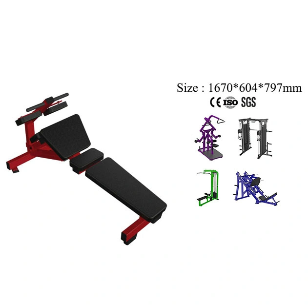 High quality/High cost performance  Best Price Gym Equipment Body Building Equipment Solid Ab Bench