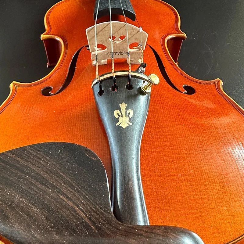 Mayorista de calidad superior 4 4 Professional Violin Guangzhou caso Negro Accesorios superiores