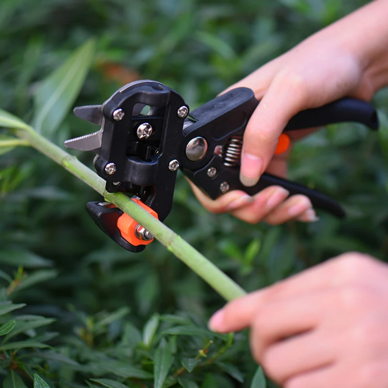 Herramientas de jardín Pruner Suca Injerto del picador de corte de la vacunación de la planta de árboles frutales de tijeras cizallas de injerto de vid de uva herramienta Tijeras