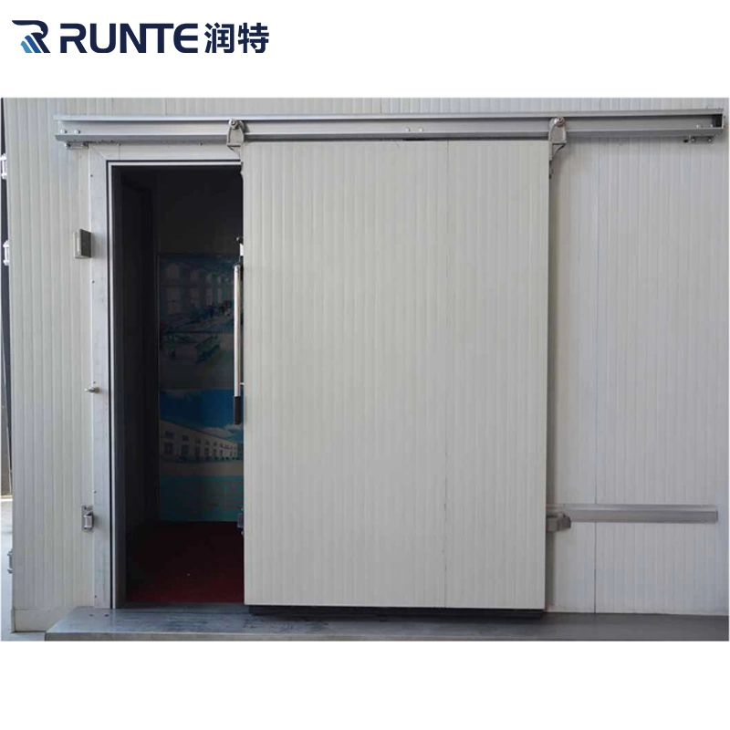 Cold Room Automatic Sliding Door