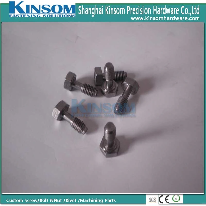 Special Metal SS304 Stainless Steel 316 Hex Bolt