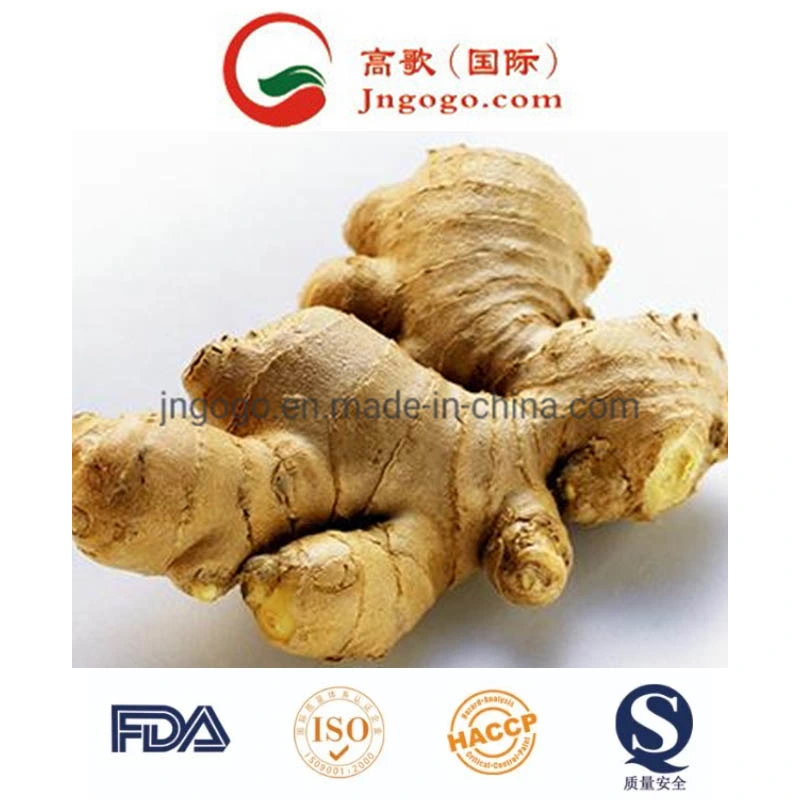 First Quality Air Dry Ginger (250g and up)