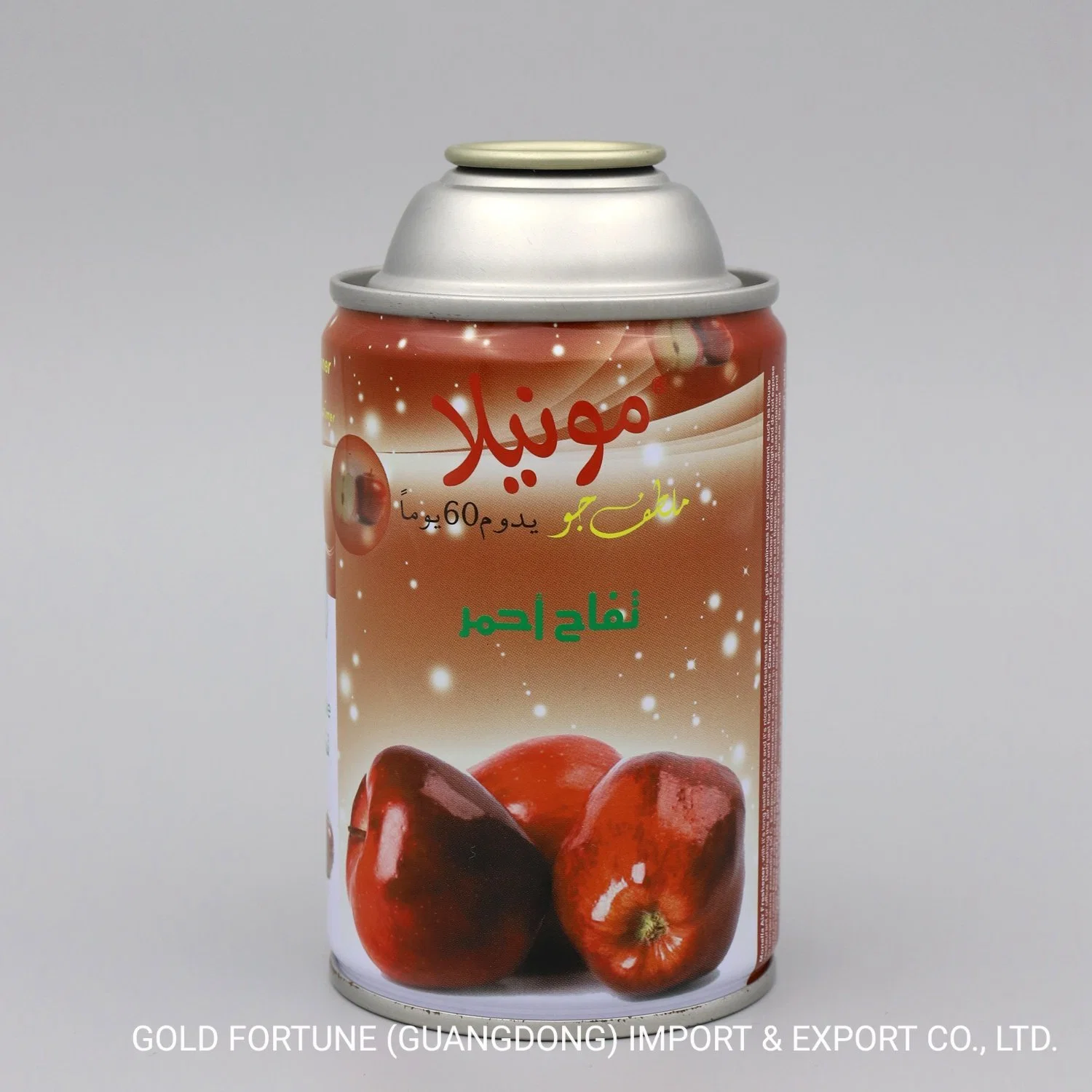 Wholesale/Supplier Empty Tinplate Can for Car Cleaner