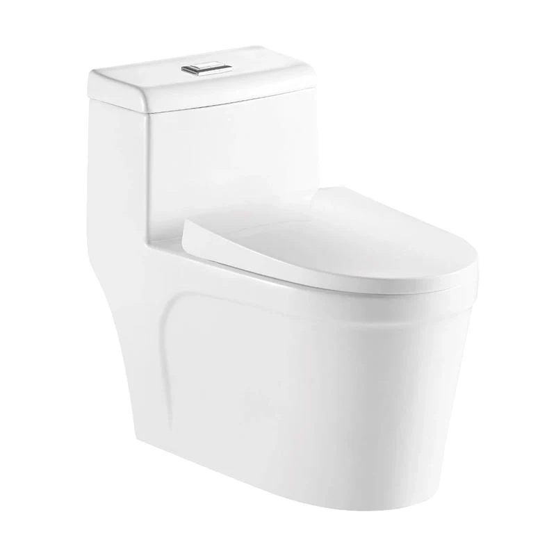 Commerce de gros appareils sanitaires en céramique de couleur blanche S-Trap 300mm en une seule pièce avec Soft coiffe de siège de toilette commode