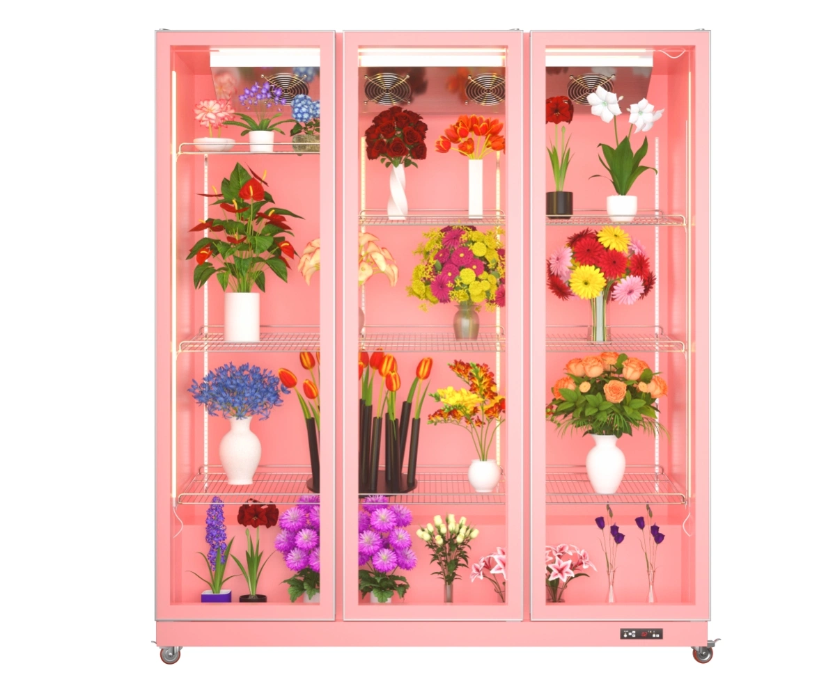 Upright Glass Door Display Fridge for Flower