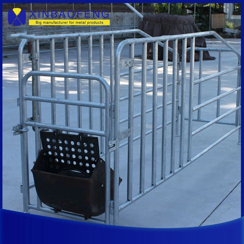 Pig Farm Equipment Pig Fattening Pen Piglet Growth Crate and Hot DIP Galvanized Pig Farrowing Pens with New Design