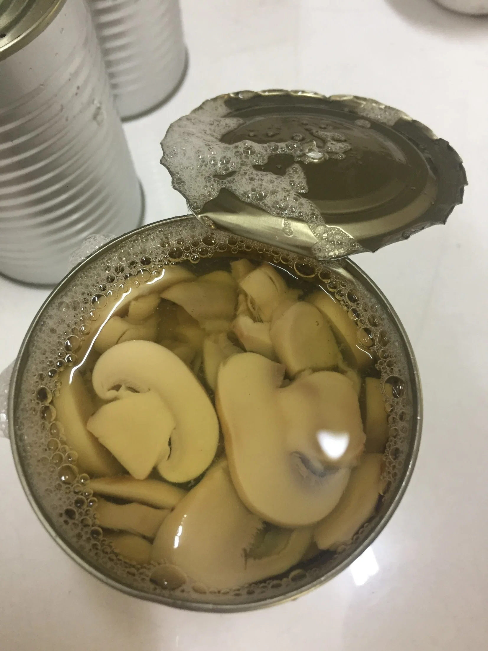 Canned Champignon Mushroom Pieces in Brine in Tins