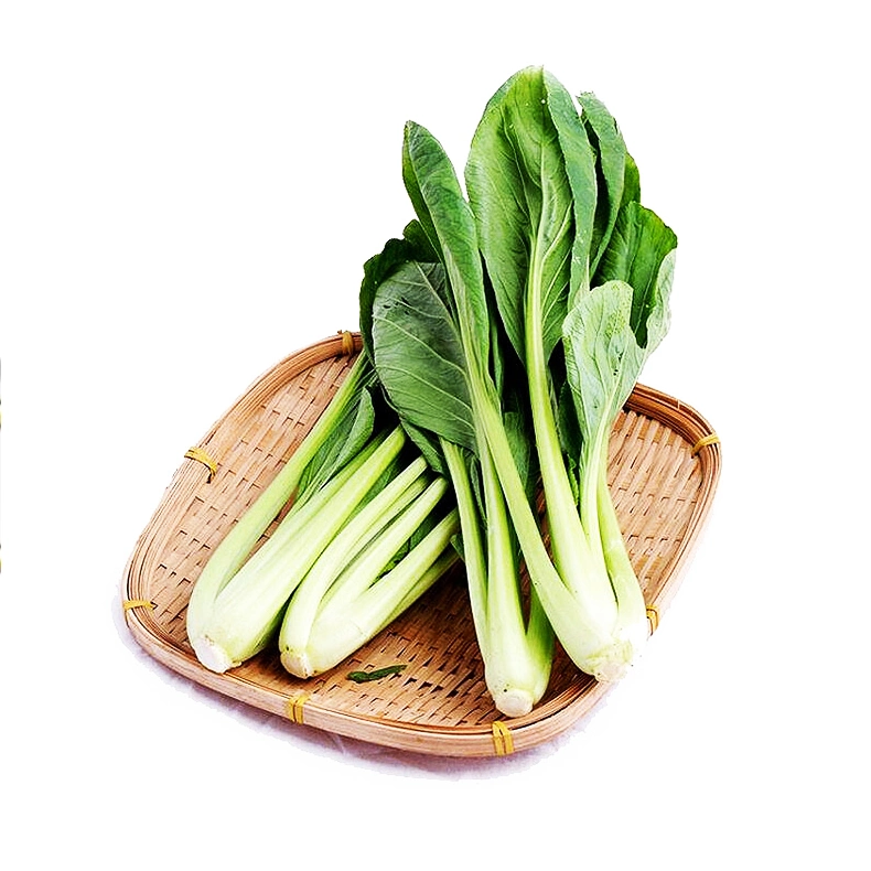 IQF Frozen Green Vegetable Bok Choy Bqf Pak Choi 3-5cm