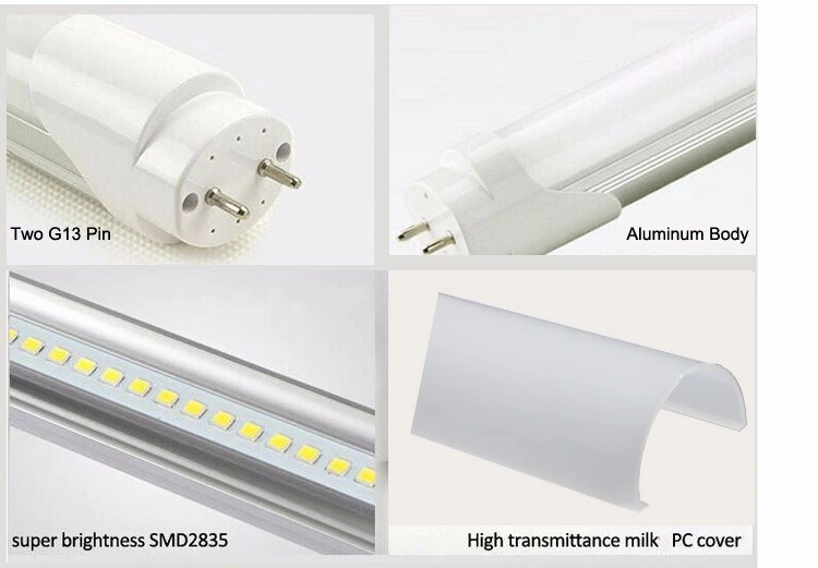 Nuevo tubo de vidrio de LED ERP 18W 100lm/W 1200mm T8 LED Luz del tubo