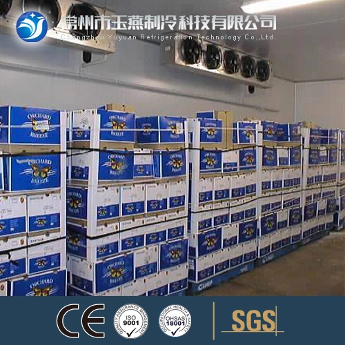 High Quality Food Storage Room, Cold Storage Room for Meat