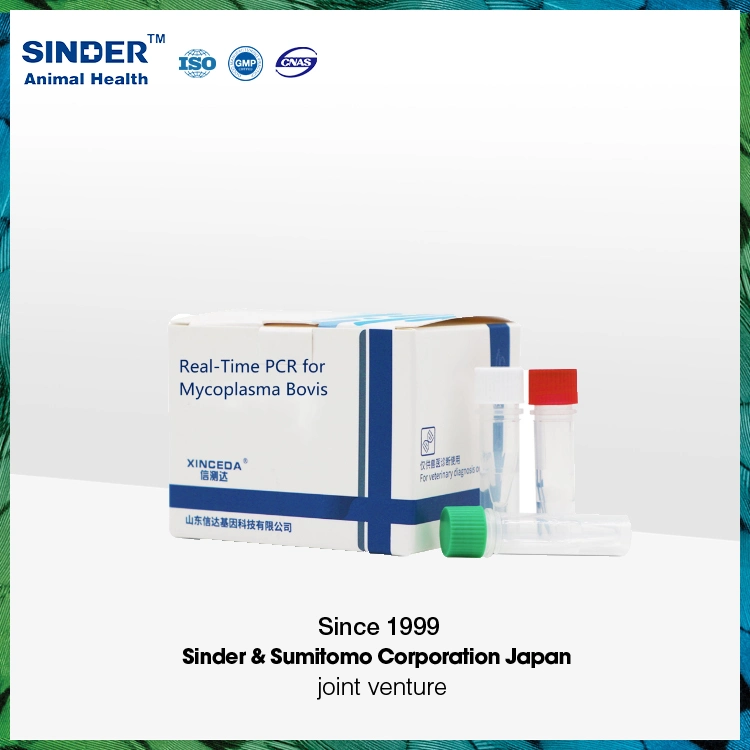 PCR Detection Kit for Decapod Iridescent Virus (DIV, SHIV, SIV) of Shrimp (Fluorescent Probe Assays)