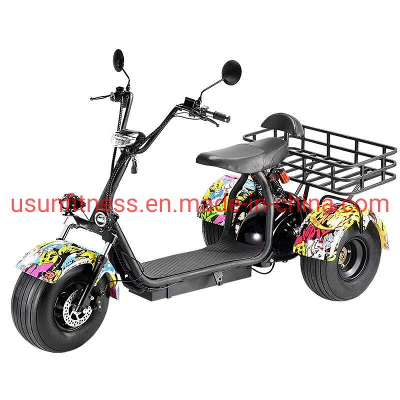Véhicules spéciaux pour les fermes et jardins 3 roue Scooter électrique Tricycle électrique avec ce cargo