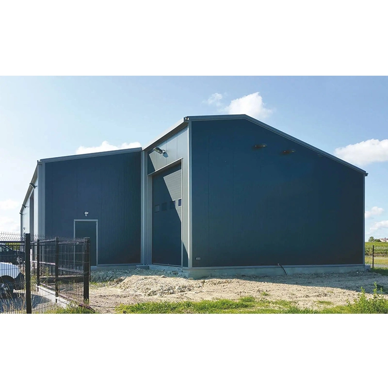 3500 Sqm Special Shape Steel Frame Structure Self Storage Shed Warehouse