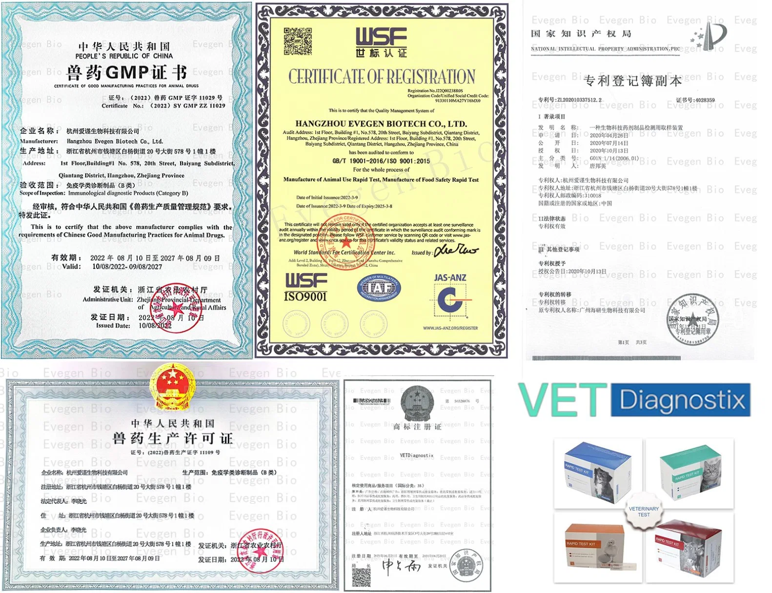 (CPV-CCV-GIA-CRV AG) Test Rapide Vétérinaire d'Antigènes pour Parvovirus/Coronavirus/Giardia/Rotavirus Canin avec GMP/ISO9001