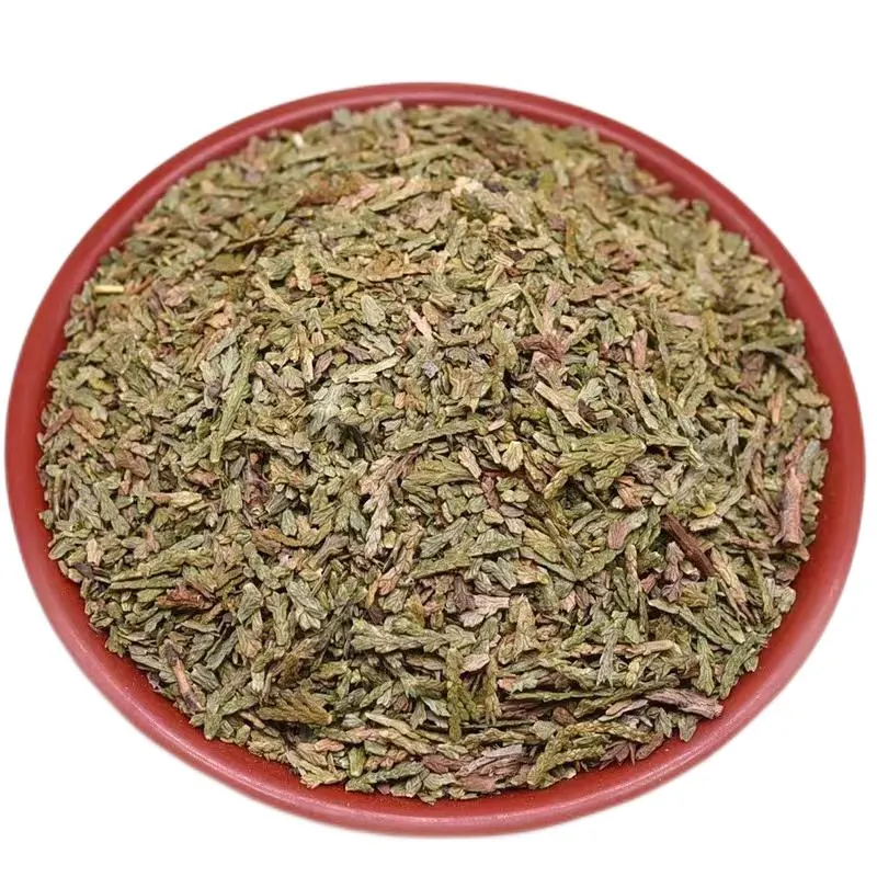 Wholesale High Quality Platycladus Orientalis Leaf Natural Herbal Medicine Cacumen Biotae CeBaiYe