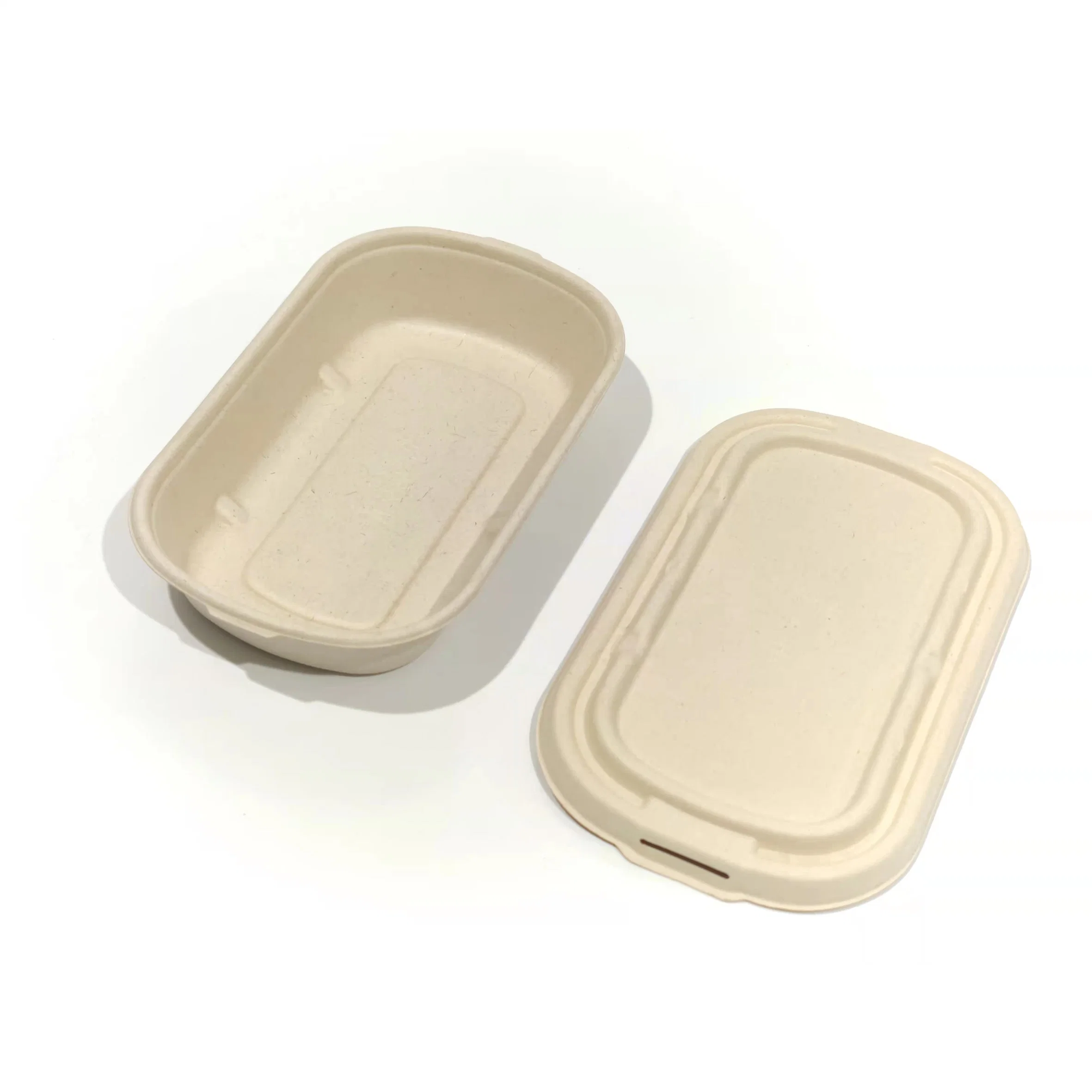 Disposable Biodegradable 2 Compartment Takeout Bento Meal Lunch Food Container Packaging Sugarcane Bagasse Box with Lid