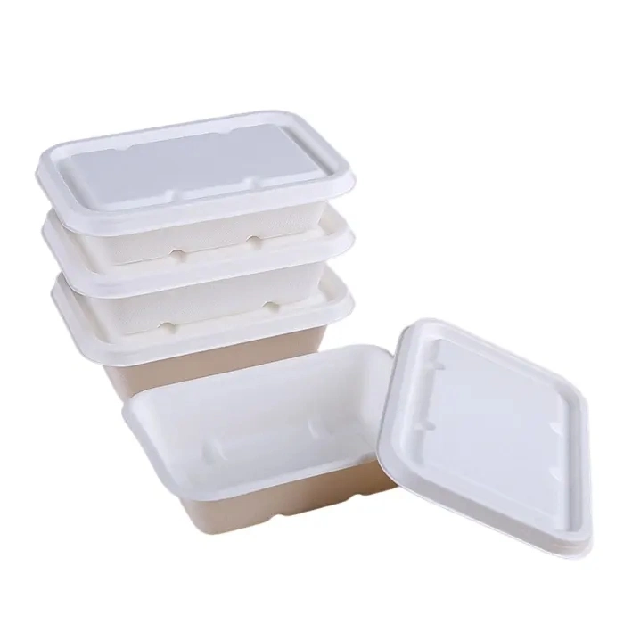 Fluoridfreie Zuckerrohr Bagasse Zellstoffschale mit Papierdeckel