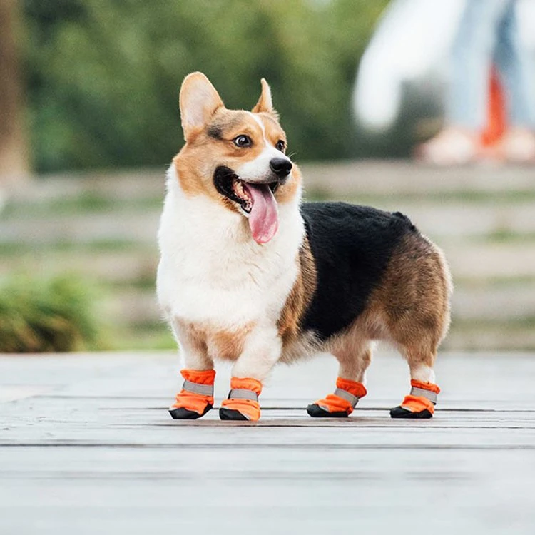 Personalisierbare Wasserdichte Pet Dog Regenschuhe