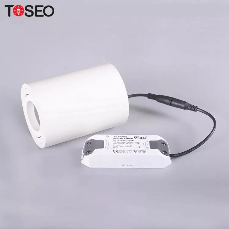 12V LED Ceiling Light Lantern Downlights