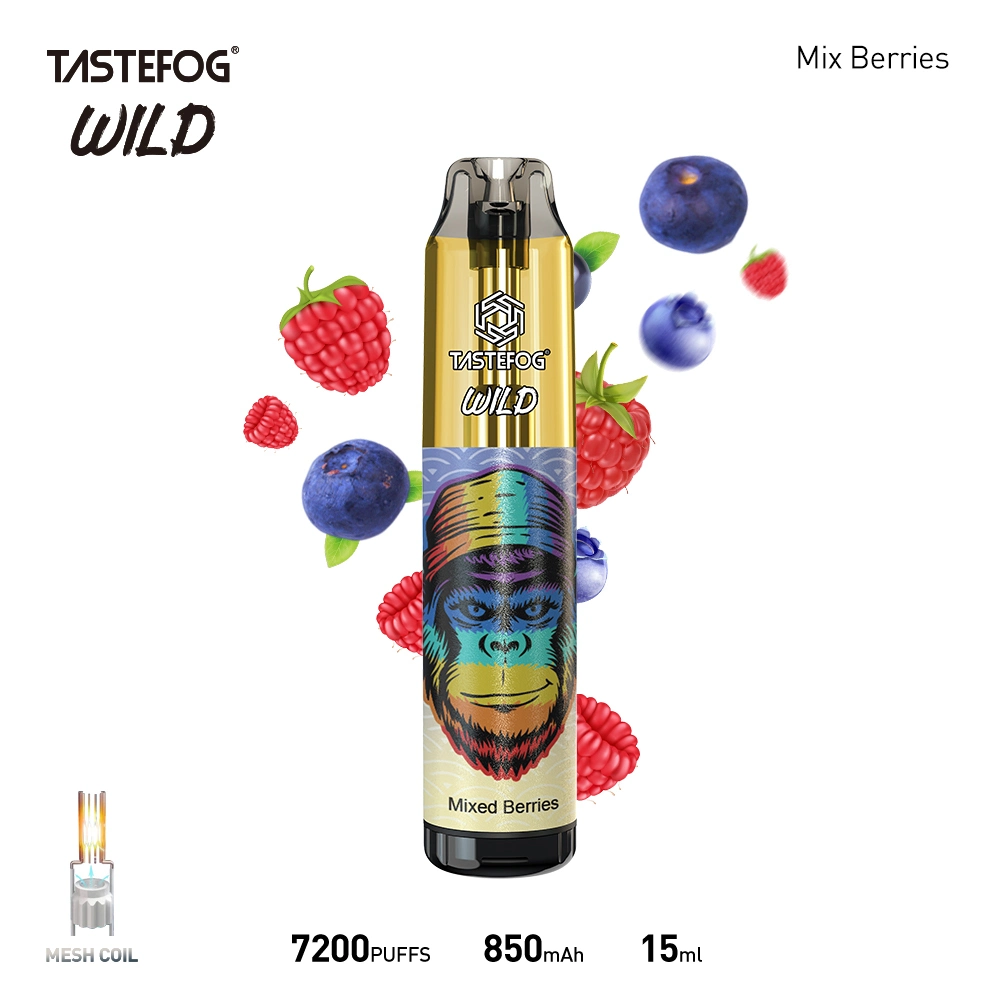 Tastefog Wild 7000 Puffs Vape 850mAh Typ-C Wiederaufladbarer Mini-Einwegbeutel E-Zigarette