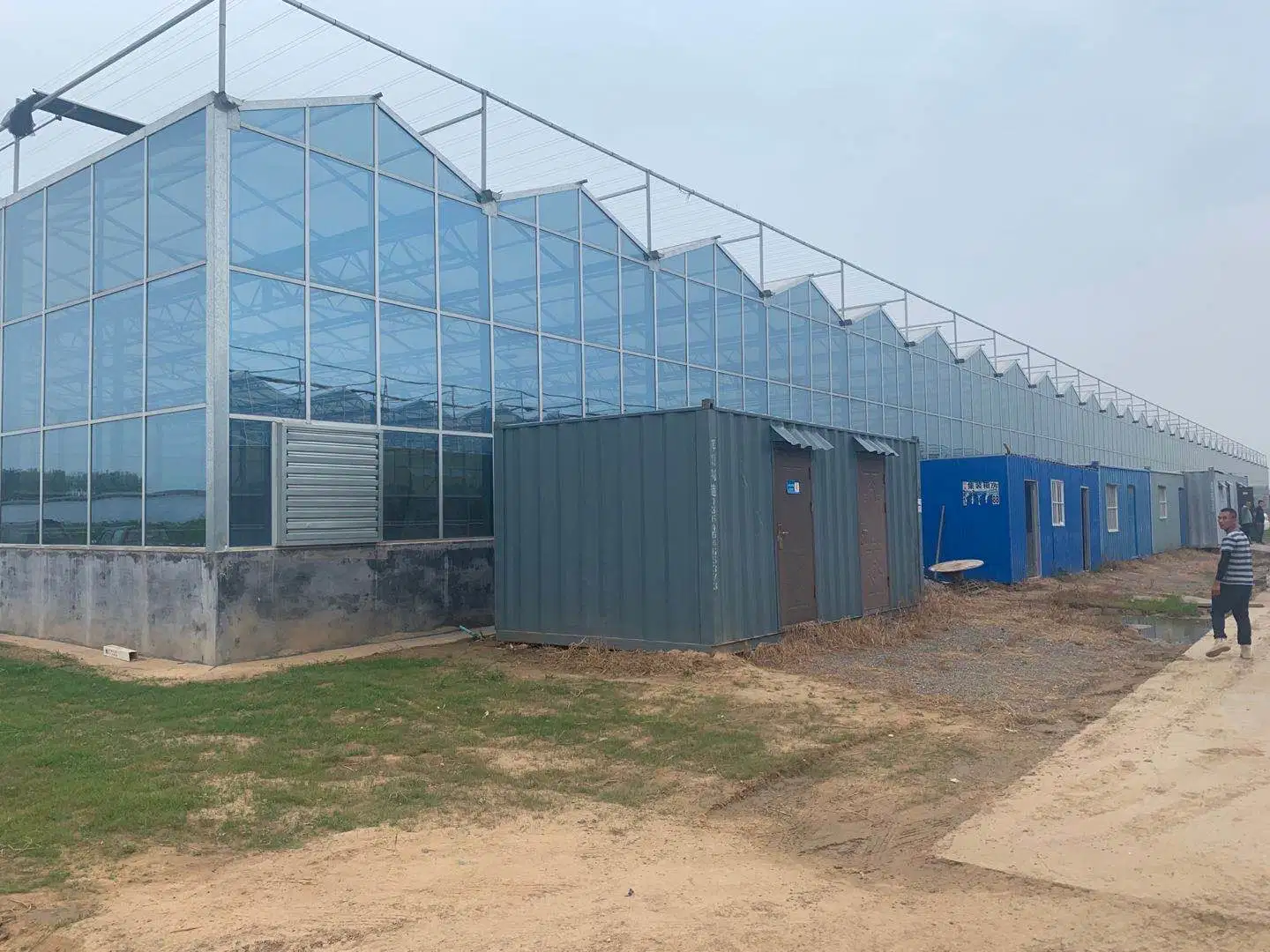 Commercial Glass Greenhouse with Climate Control System