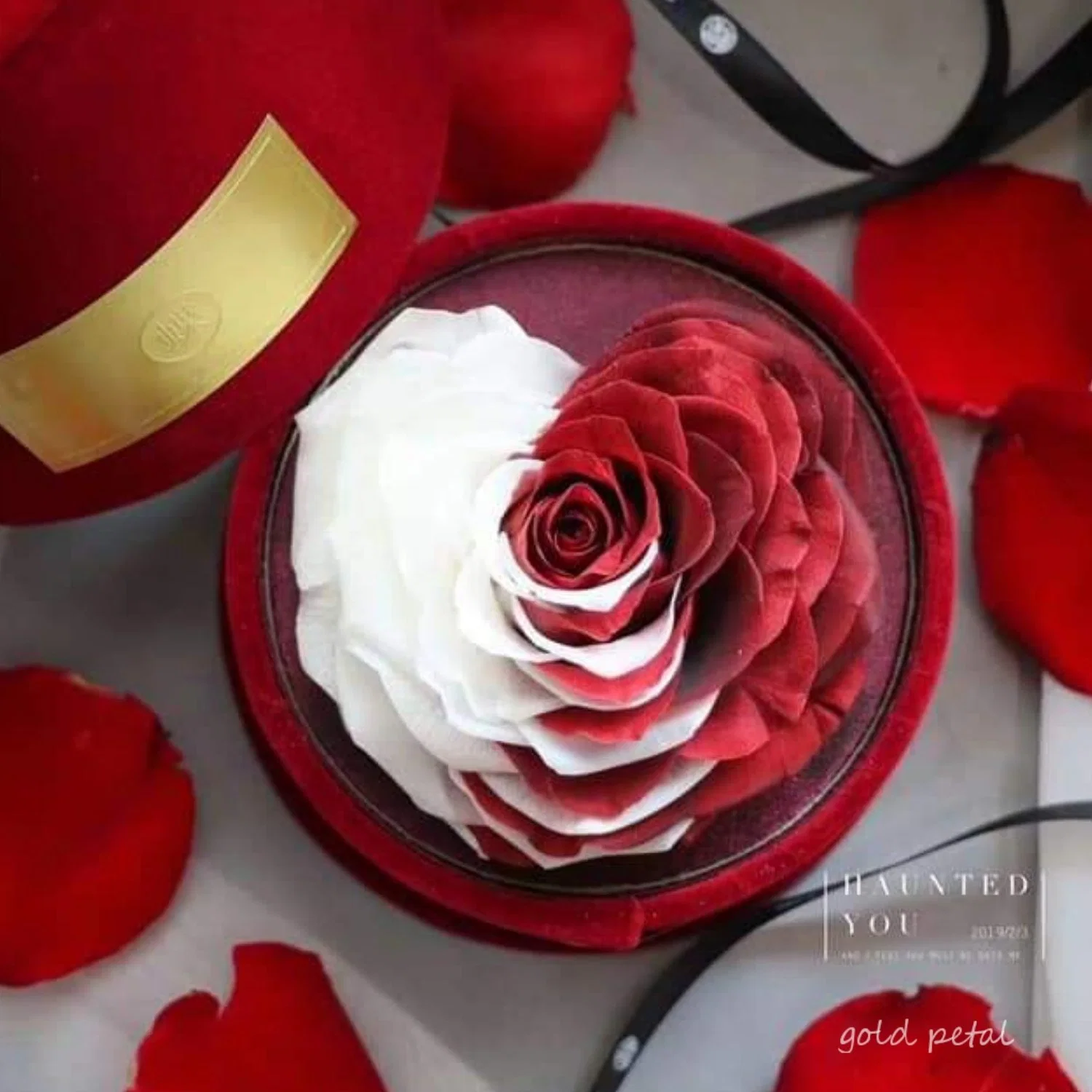 Comercio al por mayor grado de una mezcla de color rojo y blanco preservado la eterna Rosas Caja de regalo para la hermosa decoración
