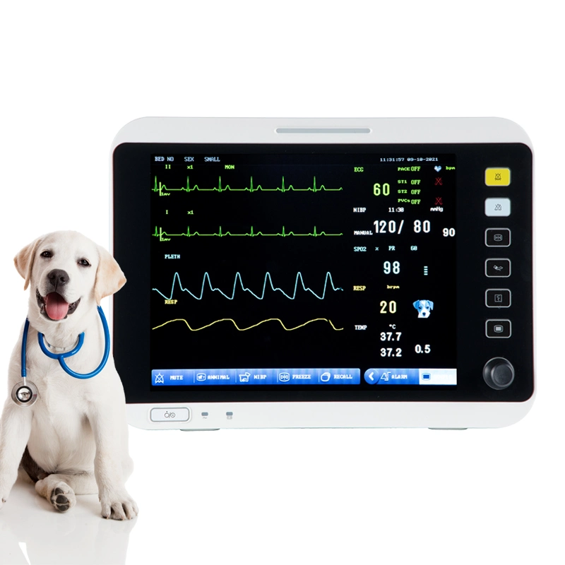 12 Inch Veterinary Equipment Instruments Portable Animals Multiparameter Veterinary Monitor for Vet