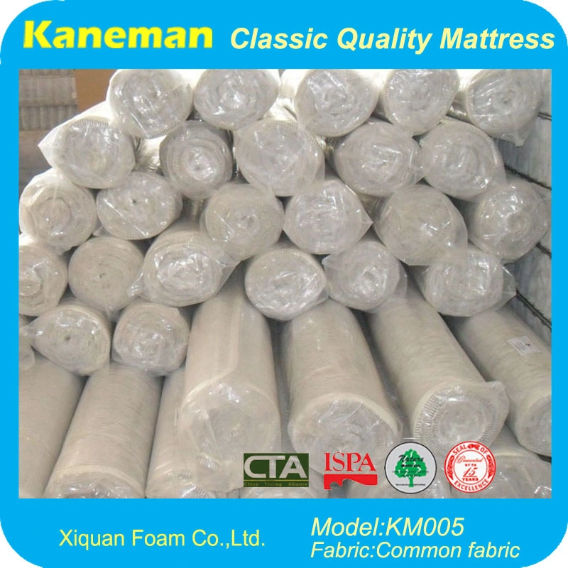 China Mattress Manufacturer Factory Hot Sale Rolled Foam Mattress