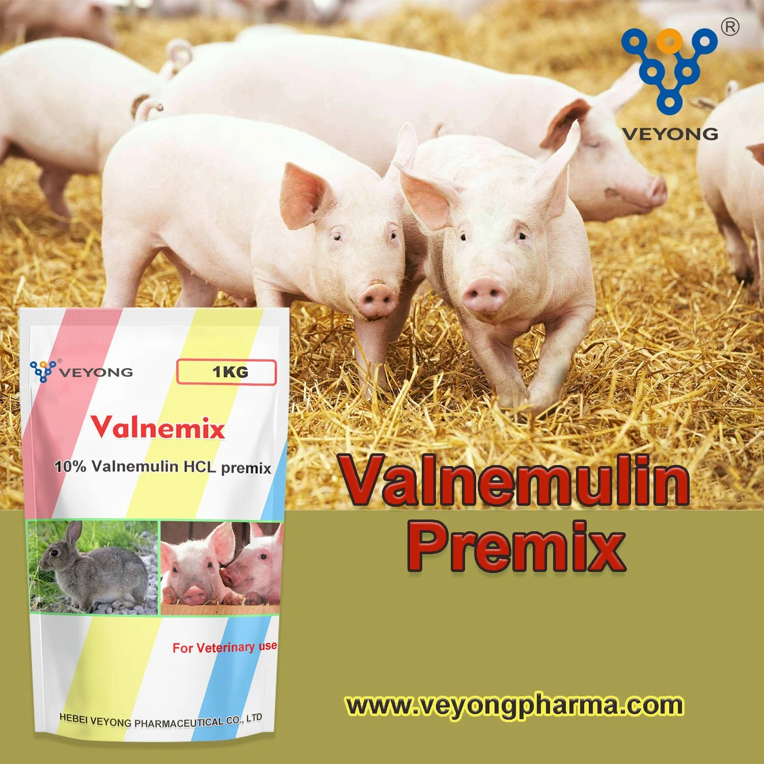 Tierarzneimittel Rohstoff API Valnemulin für Tier mit GMP Hydrochlorid HCl für Schweinepigmazeutika