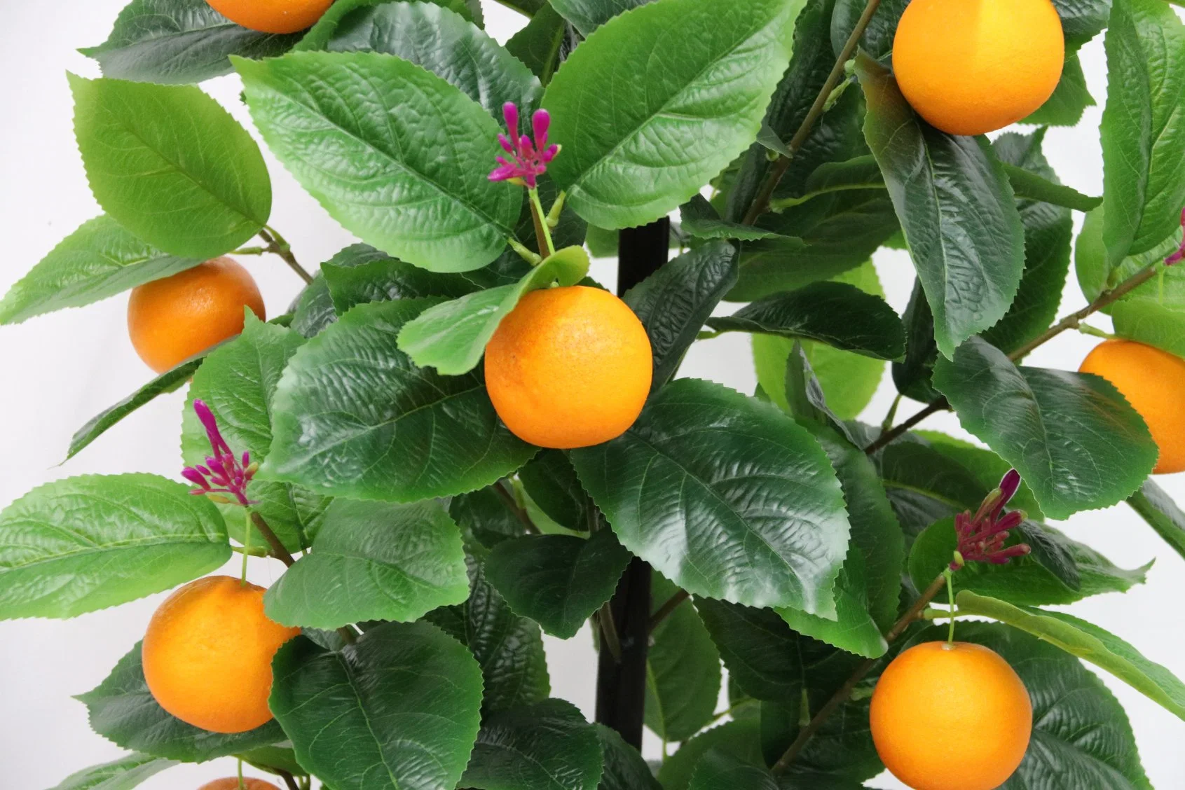 Nearly Nature 14 May All Your Wishes Come True Yellow Orange Tree Customizable Artificial Simulation Decorative Plant Fruit Tree