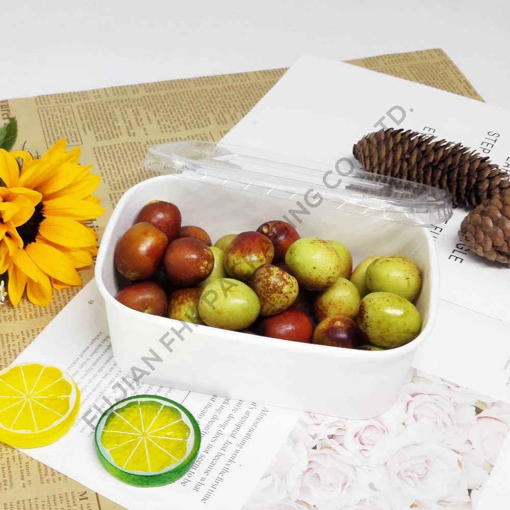 FDA/EU Approval Biodegradable Compostable Packing Paper Bowl Square Salad Cardboard Large Kraft Paper Food Box with Lid