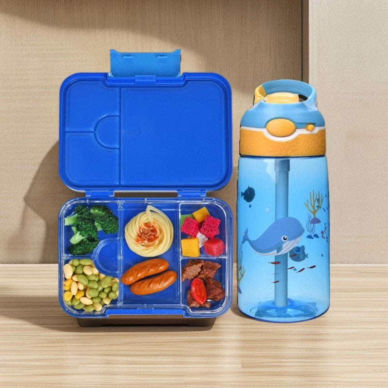 Aohea PP 4 or 6 Compartment BPA Free Eco Safe Plastic Tritan School Children Kid Bento Lunch Box