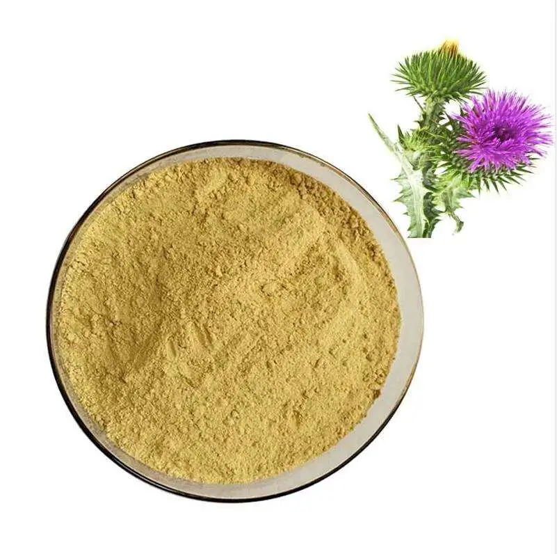 Manufacture Supply Herbal Extract Silymarin Silybum Milk Thistle Extract with Competitive Price