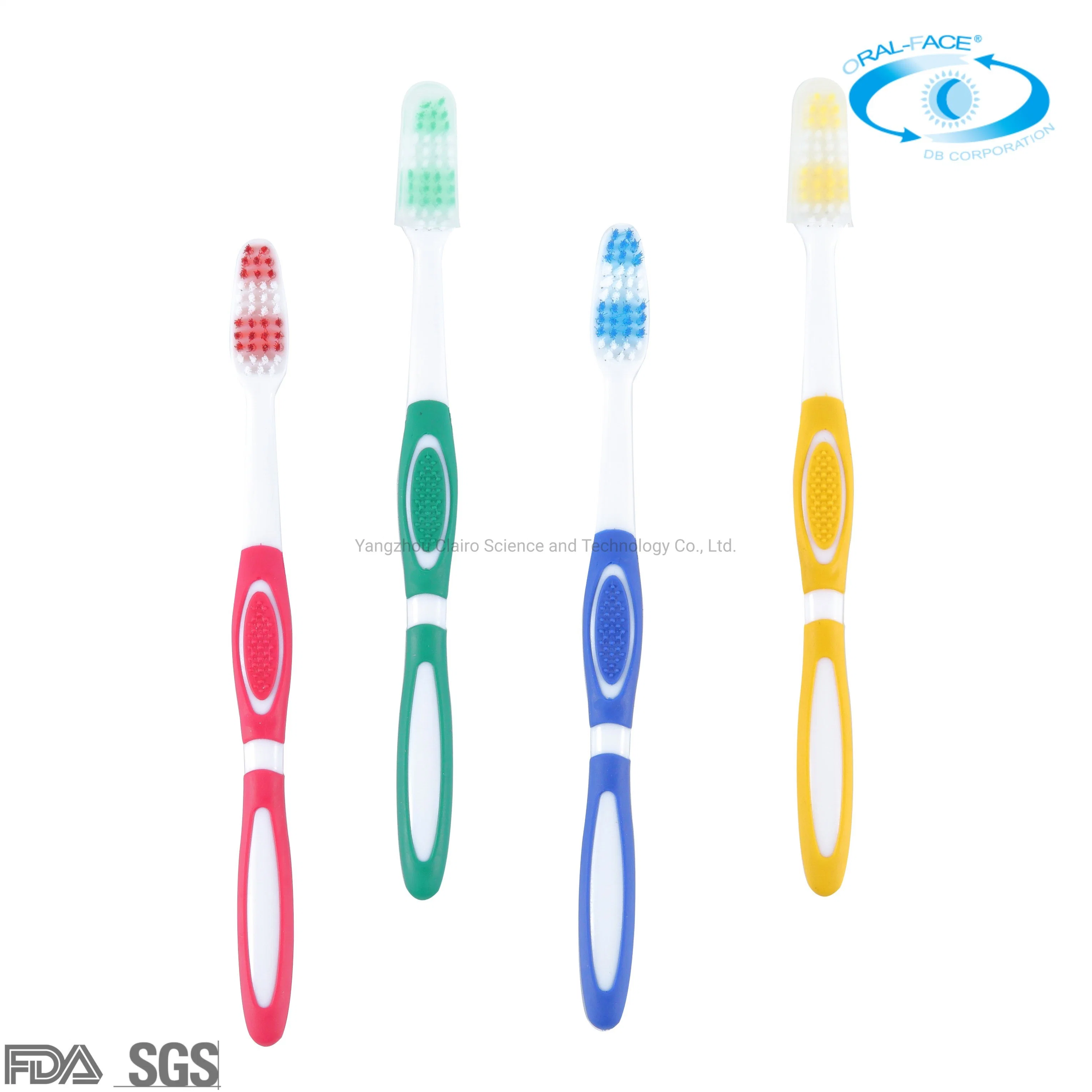 Wholesale OEM on Time Delivery Adult Household/Travel Toothbrush with Caps
