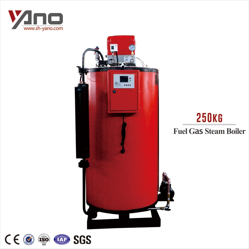 How Much Price 100kg 200kg 300kg 500kg Save Energy Steam Producer Industrial Gas Boiler for Room Heating