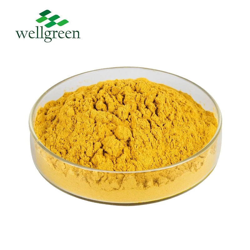 Bulk Price Natural Organic Vegetable Fruit Supplement Spray Dried Pumpkin Powder