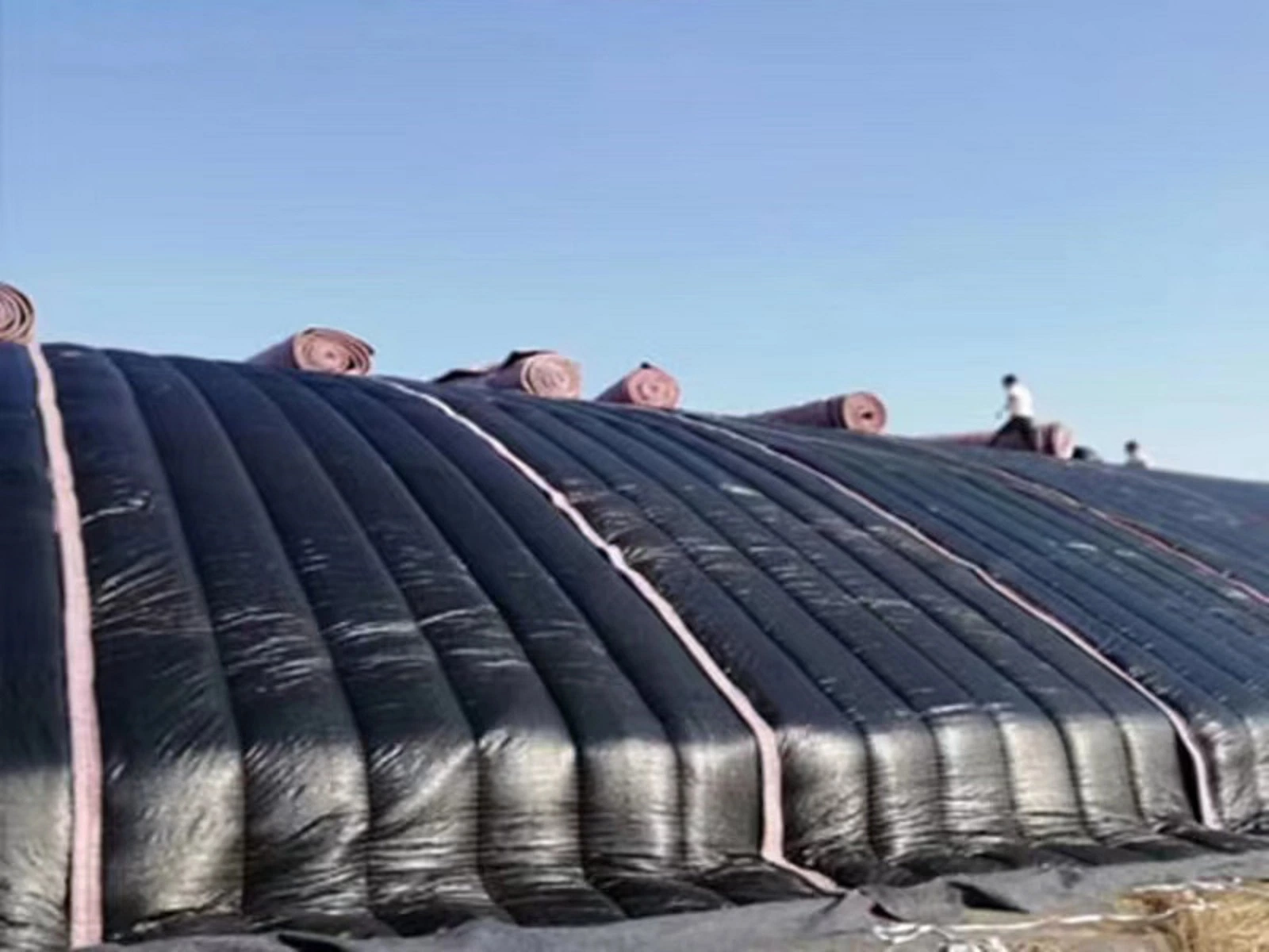 Single Span Commercial Tunnel Plastic Film Farm Agriculture Greenhouse Hall with Insulation Quilt