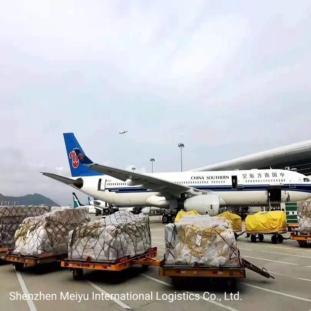 Avião fretado o transporte aéreo rápido Despachante para a Austrália