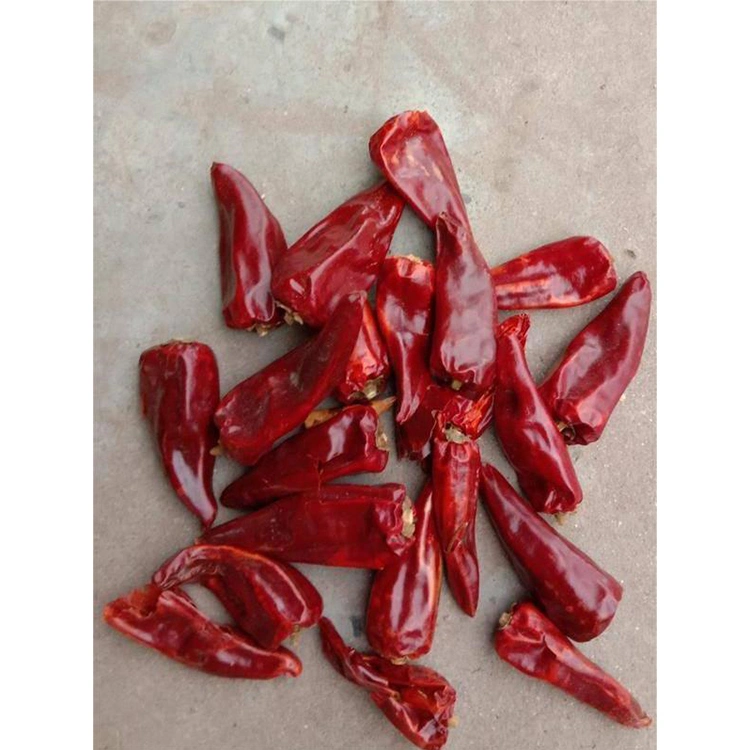 Top Quality Dehydrated Red Whole Chili