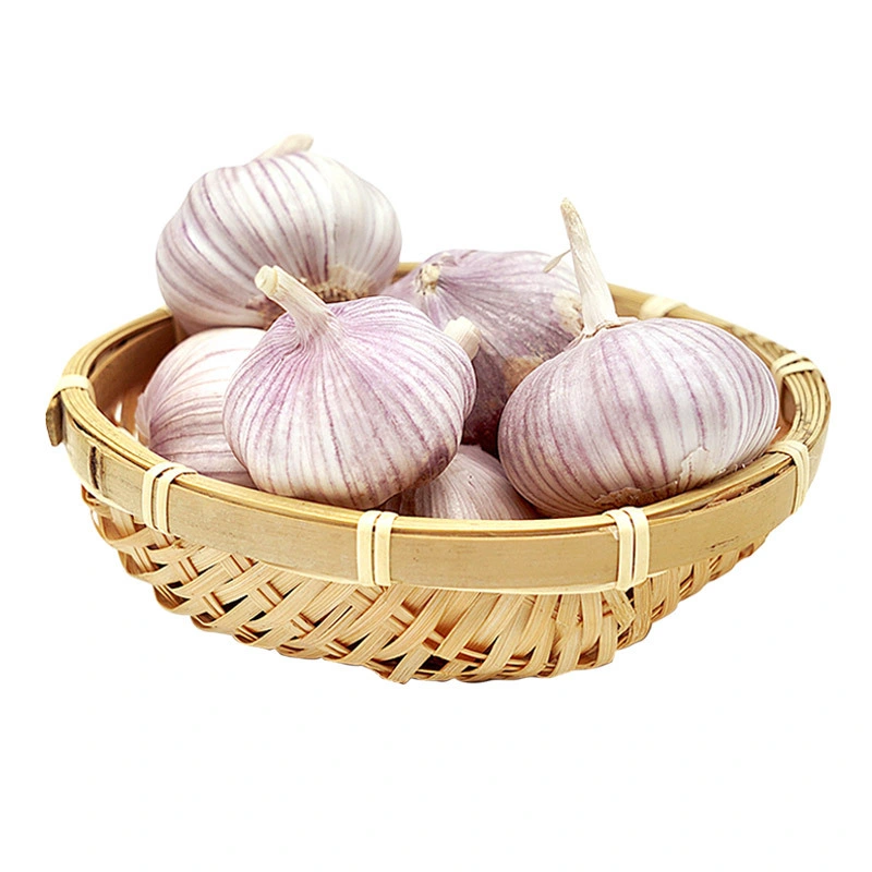 China Exports Fresh Vegetables Naturally Grown Garlic Fresh Garlic in Bulk Wholesale/Supplier