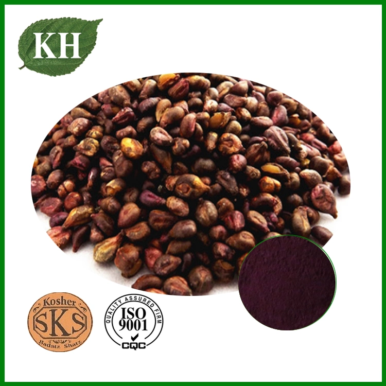 High quality/High cost performance  Grape Seed Extract Proanthocyanidins