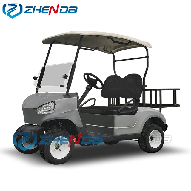 Factory Direct Sell Signal 2 Seats Mini Club Cart Lithium Battery Golf Buggy Gas Powered Golf Car Cart