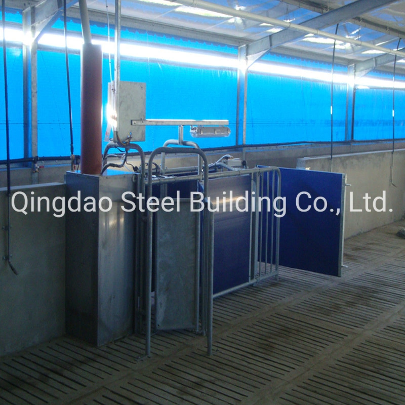 Design High quality/High cost performance  Steel Structure Building Steel Structure Pig Farm Building