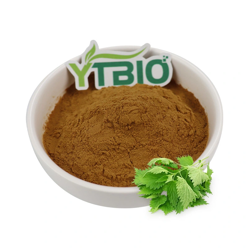 Food Grade Stinging Nettle Leaf Extract Nettle Root Extract Powder Nettle Extract