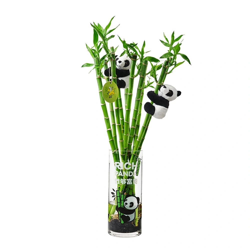 Straight Bamboo Artificial Flower Bonsai Tree Bamboo Inidoor Decoration Wholesale/Supplier