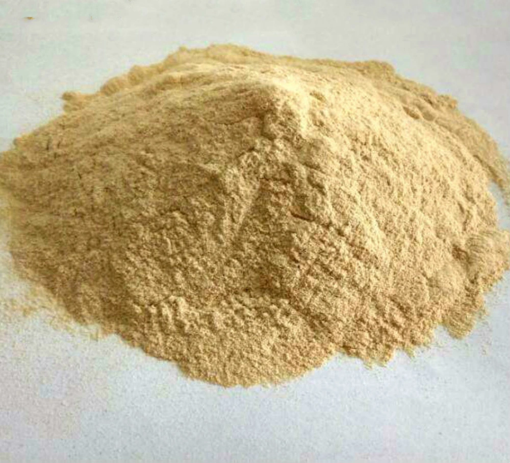 Best Food Thickener Fufeng Xanthan Gum for Baking at Factory Price